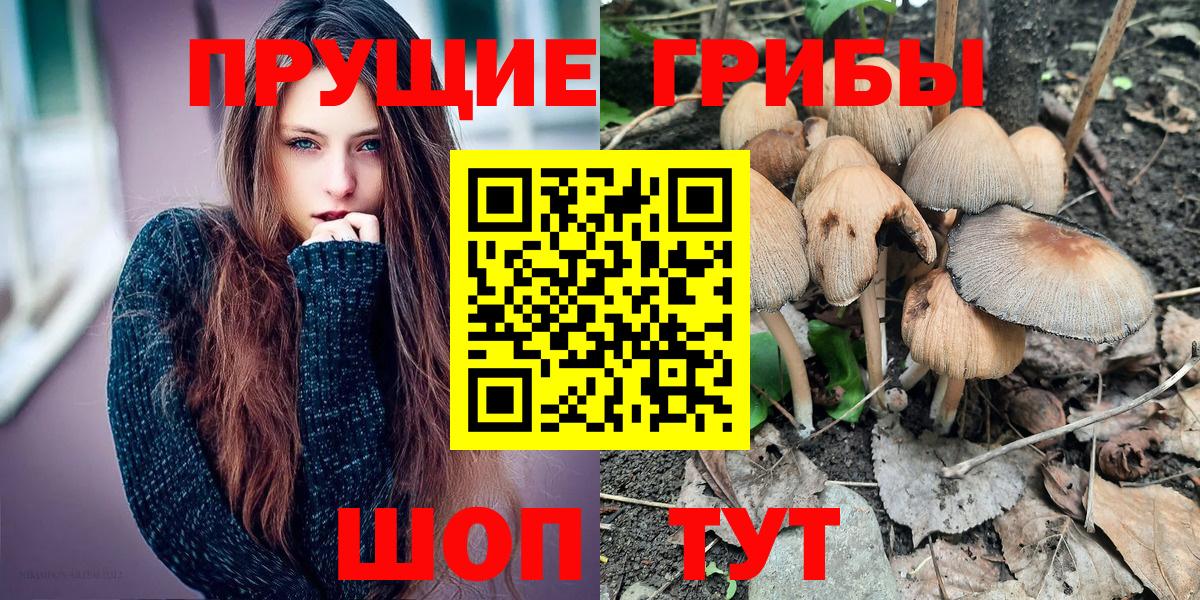 где найти   Вход с VPN  Мончегорск  Псилоцибиновые грибы мицелий 